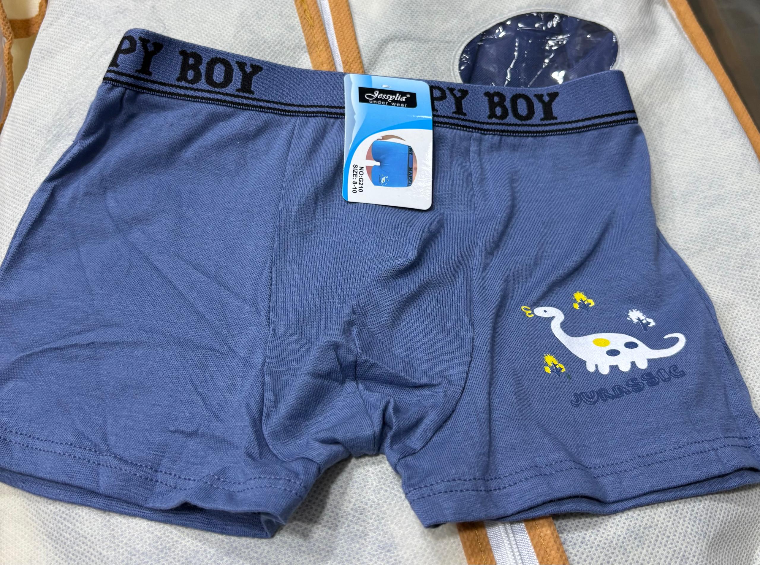 Boxers Garçon –  | Tailles 6 à 16 ans REF G210