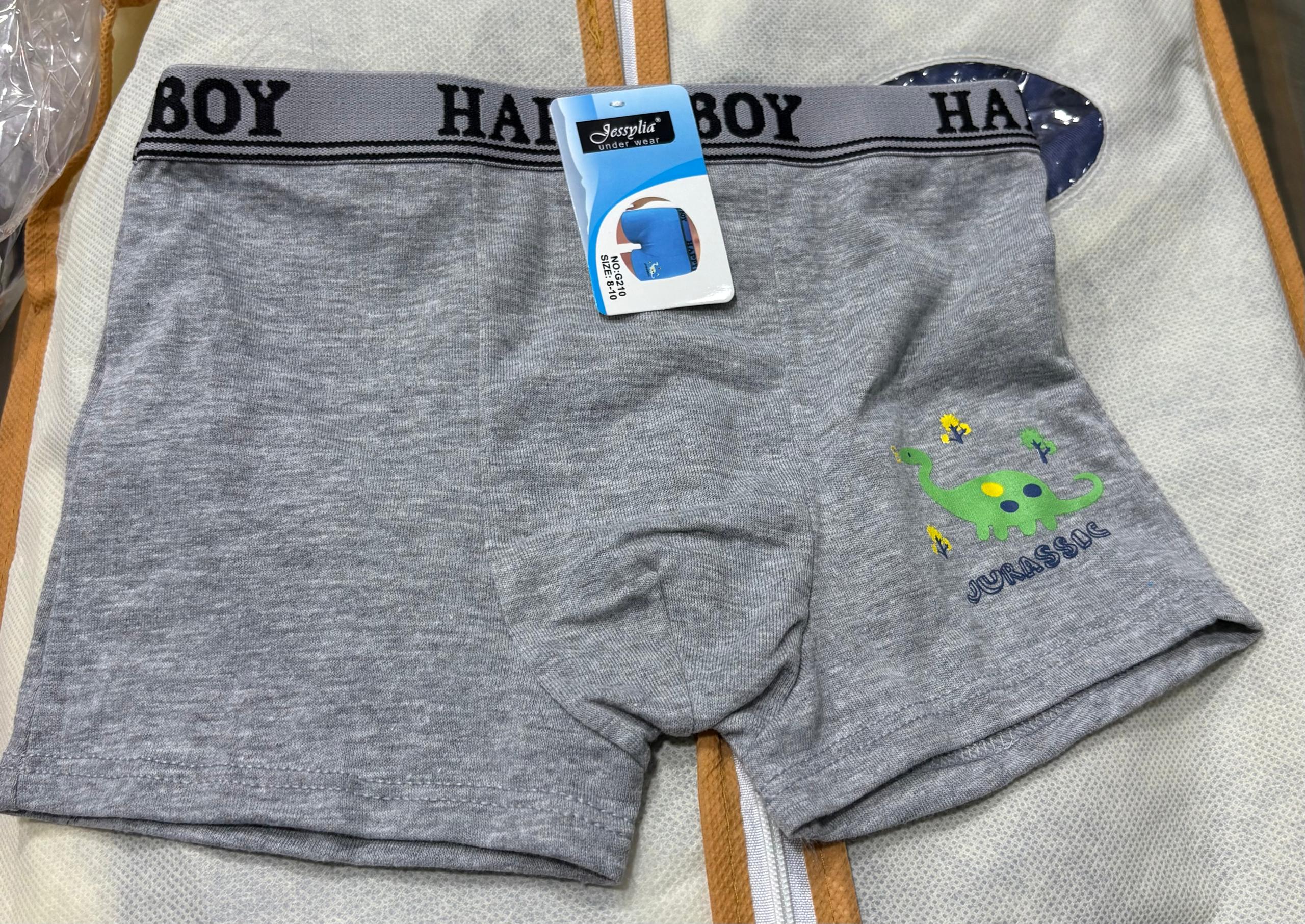 Boxers Garçon –  | Tailles 6 à 16 ans REF G210