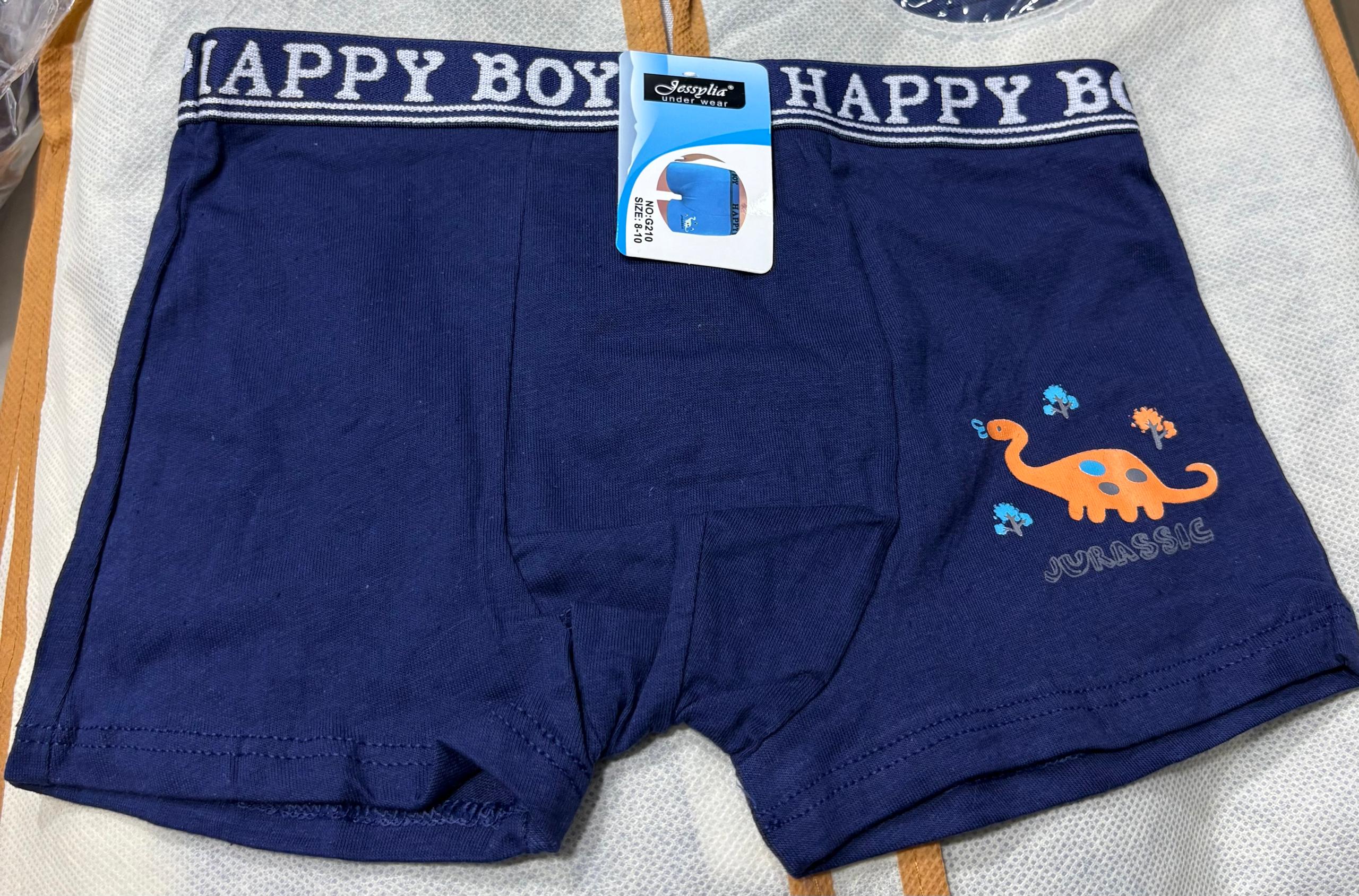 Boxers Garçon –  | Tailles 6 à 16 ans REF G210