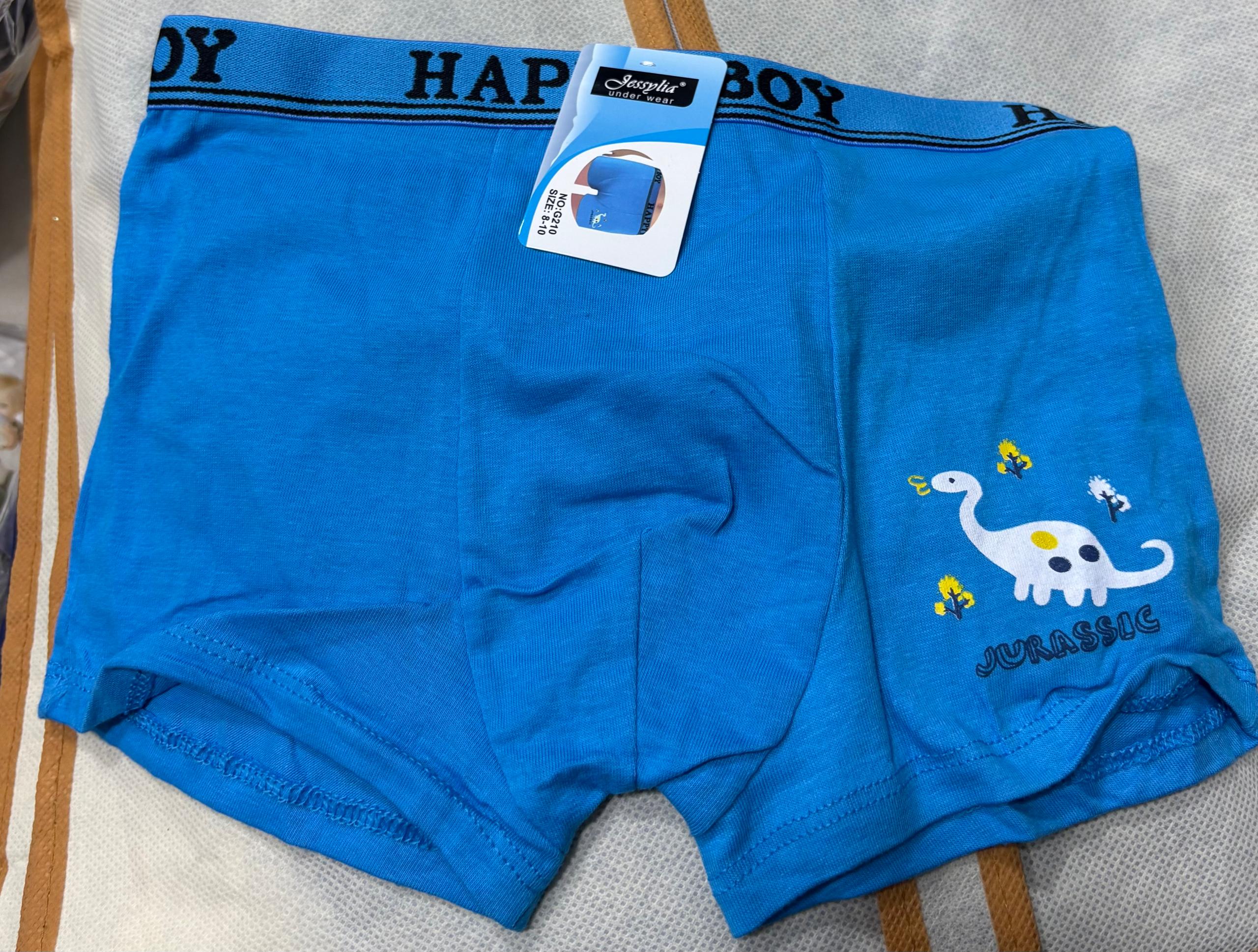 Boxers Garçon –  | Tailles 6 à 16 ans REF G210