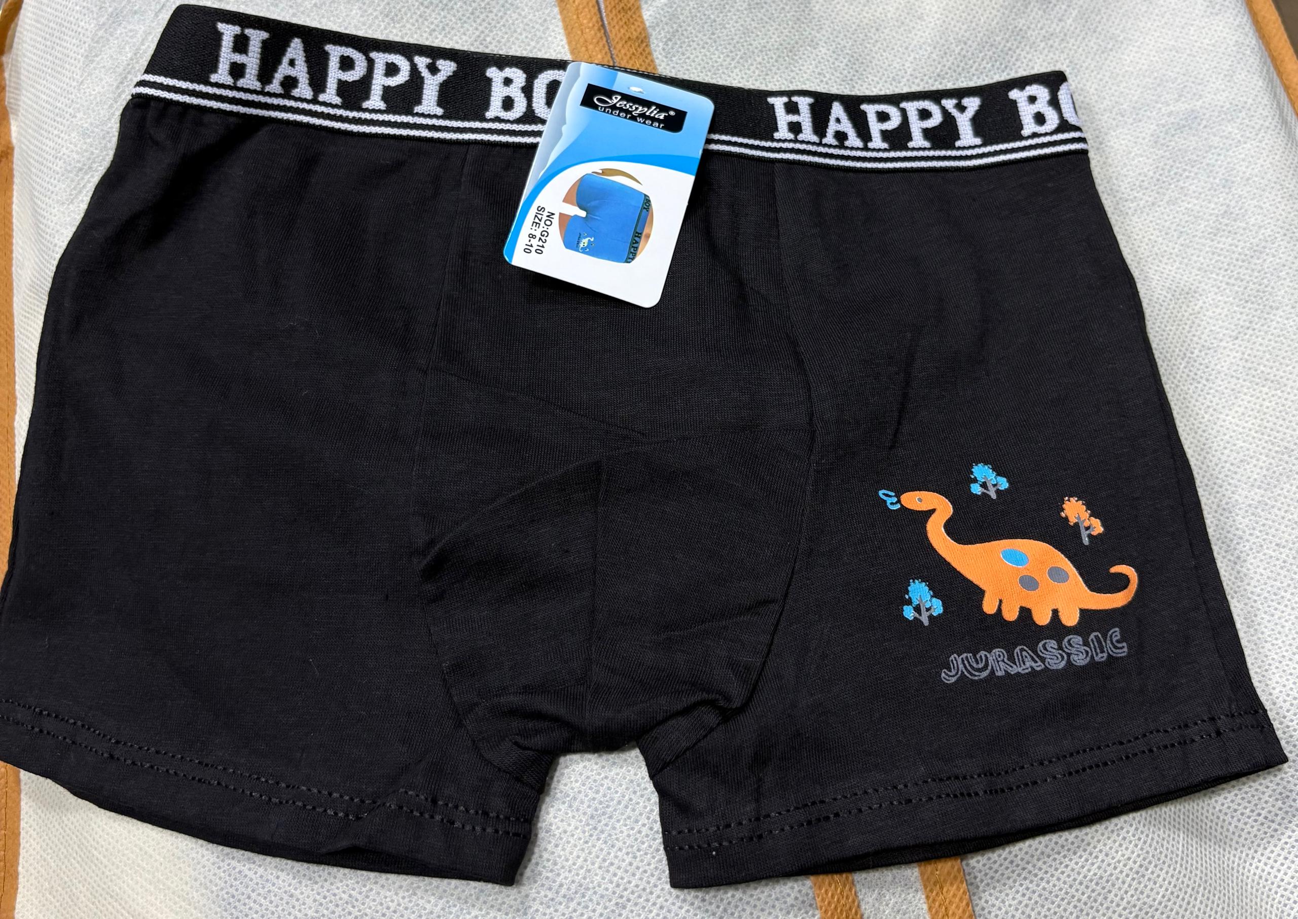 Boxers Garçon –  | Tailles 6 à 16 ans REF G210